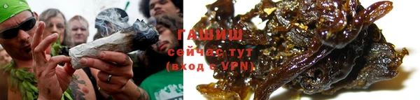 сатива Няндома