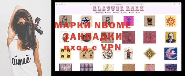 метадон Алексин