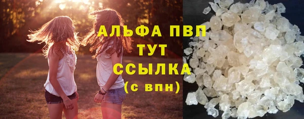 метадон Алексин