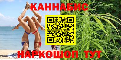 прущие крисы Кингисепп