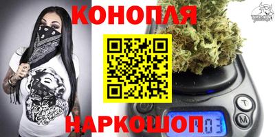 прущие крисы Кингисепп