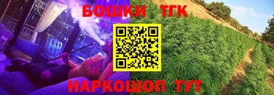 кокс Кинель
