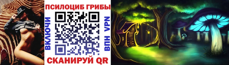 дарнет шоп  Новозыбков  Псилоцибиновые грибы Psilocybe 