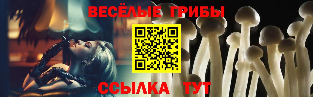 Галлюциногенные грибы MAGIC MUSHROOMS  Псилоцибиновые грибы GOLDEN TEACHER  Новозыбков  Вход с VPN 